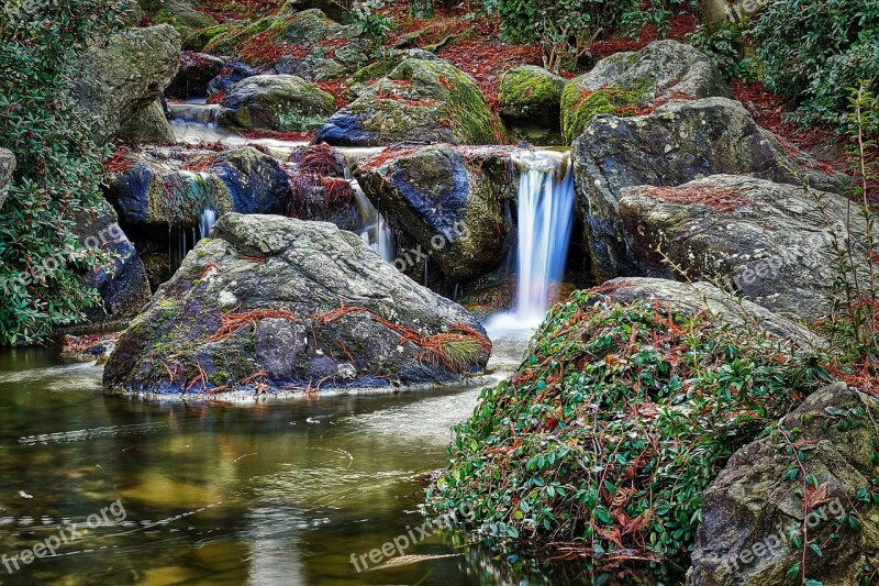 Japanese Garden Bonn Waters Nature Bach