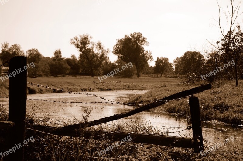 Waters Fence Tree River Nature