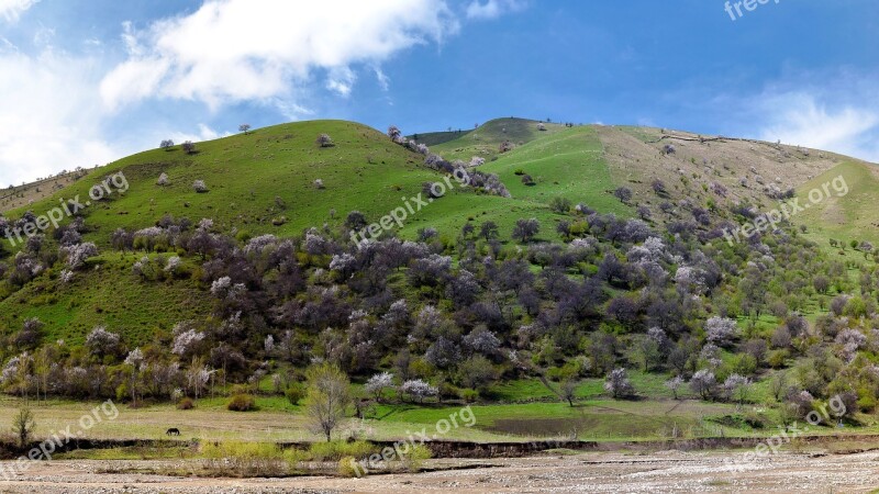 Nature Landscape Lawn Hill Sky