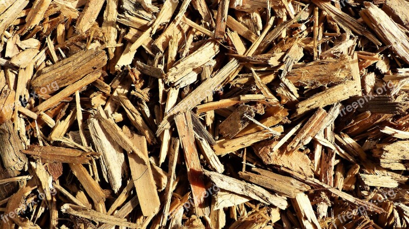 Dry Lot Grass Nature Shavings