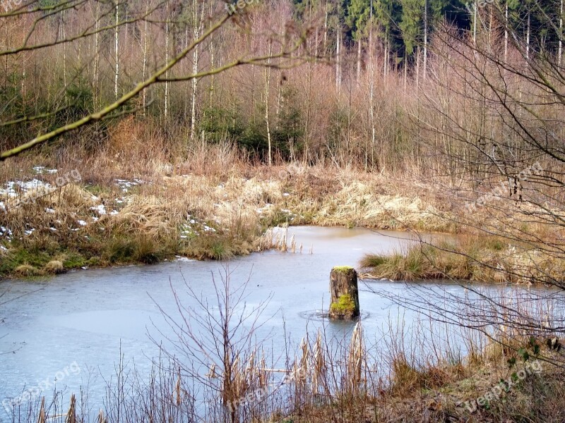 Waters Nature Reflection River Landscape