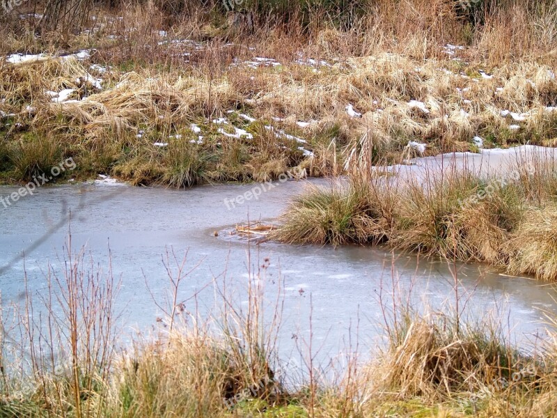 Waters Nature Landscape River Grass