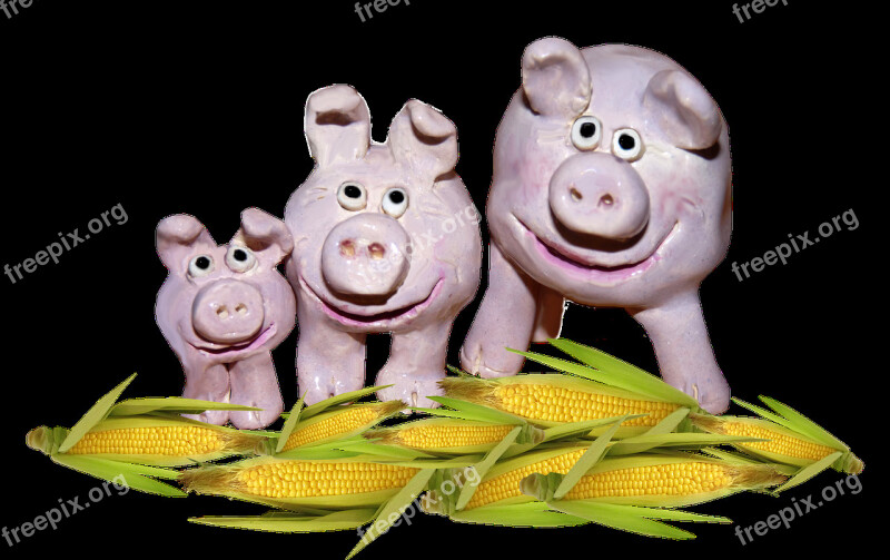 Pottery Pigs Sweetcorn Fun Free Photos