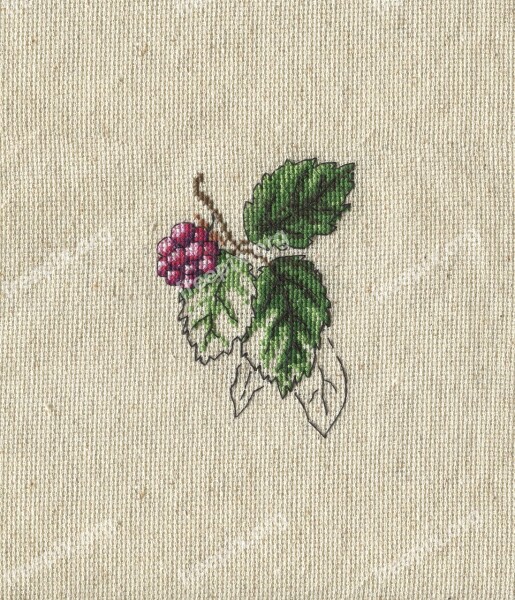 Card Vintage Berry Desktop Leaf