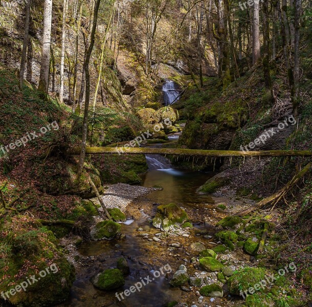 Nature Waters River Waterfall Moss