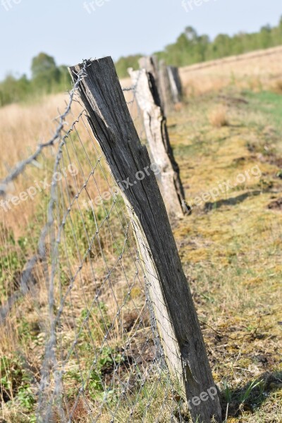 Nature Landscape Wood Tree Fence