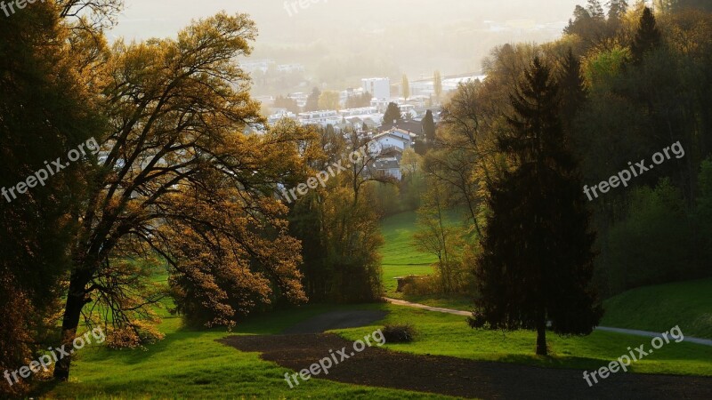 Landscape Nature Trees Morning Sun Free Photos