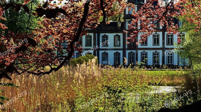 France Strasbourg Castle Tree Nature