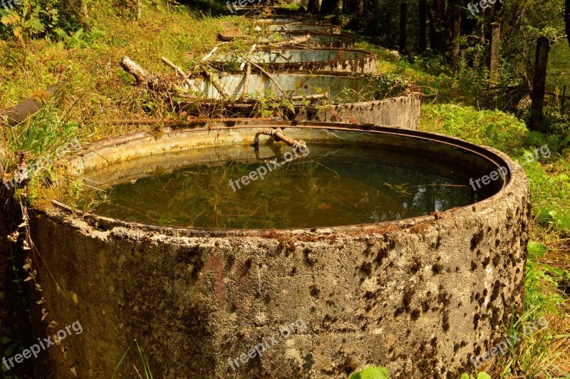 Water Water Tank Water-plant Free Photos