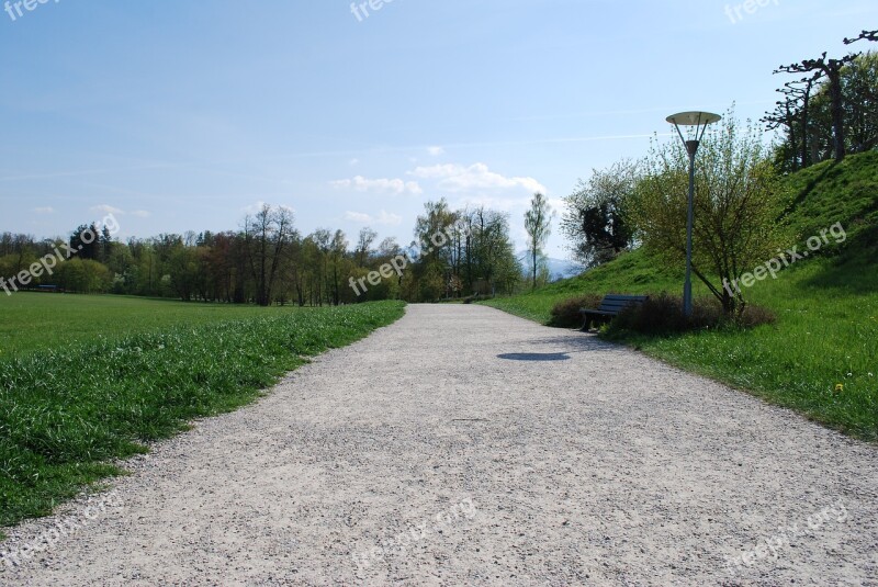 Road Grass Nature Instructions Tree