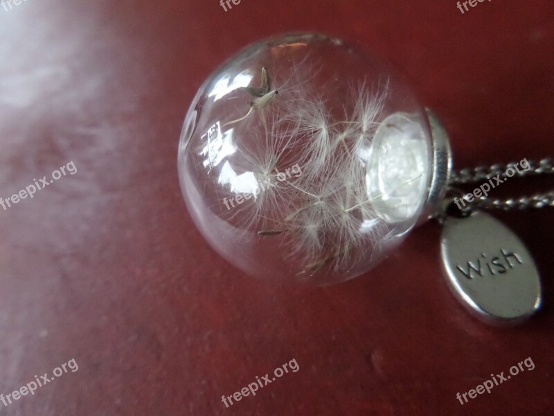 Desire Dandelion Jewellery Seeds Wishes