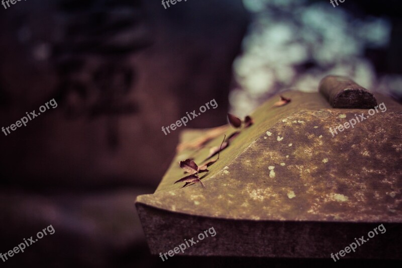 Japan Stone Macro Natural Japanese