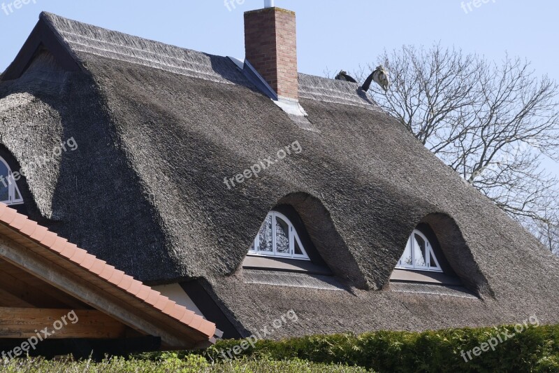 Roof Thatched Roof Thatched House Architecture