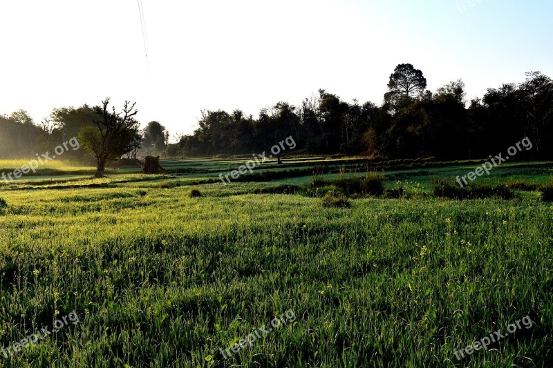 Landscape Field Panoramic Agriculture Grass