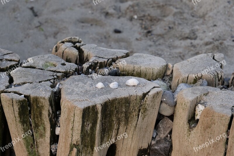 Nature Waters Wood Groyne Breakwater