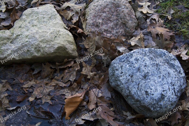 Nature Stone Rock Outdoors Moss