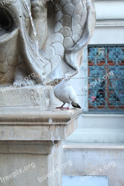 Architecture Sculpture The Statue Stone Marble