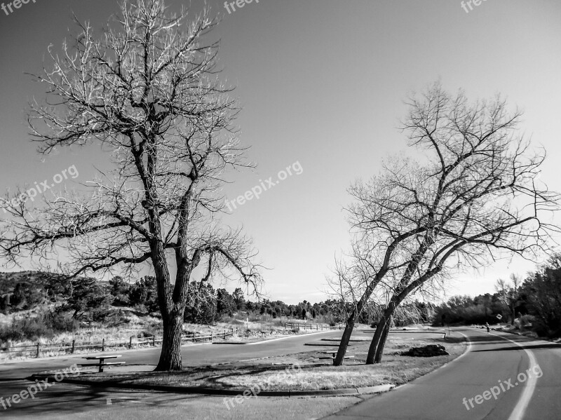 Tree Road Landscape Nature Guidance