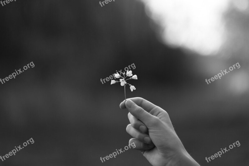 Human Flower Black And White Photography Blossom Bloom