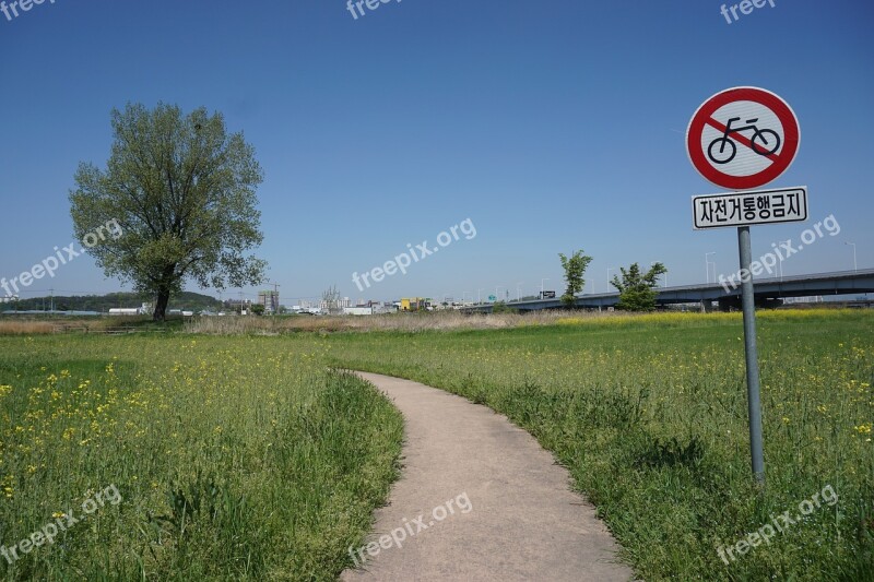 Grass Nature Outdoors Heaven Blue Sky