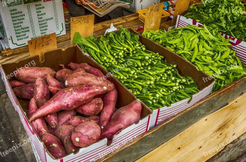 Market Food Vegetable Sale Stock