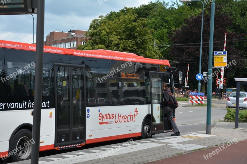 Bus Transport Car Traffic Vehicle