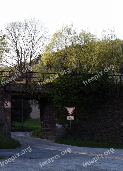 Bridge Under The Leadership Of Bridge Underpass Climbing Ivy Rust