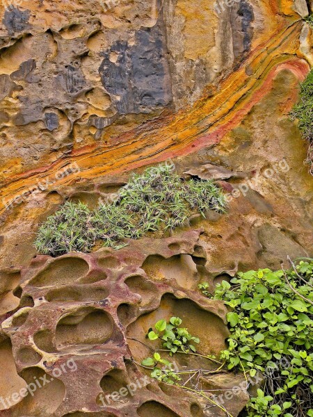 Geology Earth Surface Nature Rock Stone