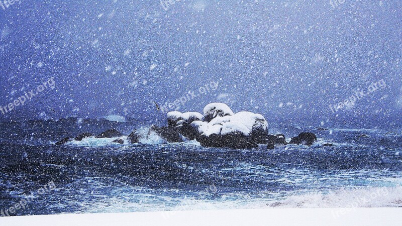 Sea Winter Nature Snow A Snowy Day