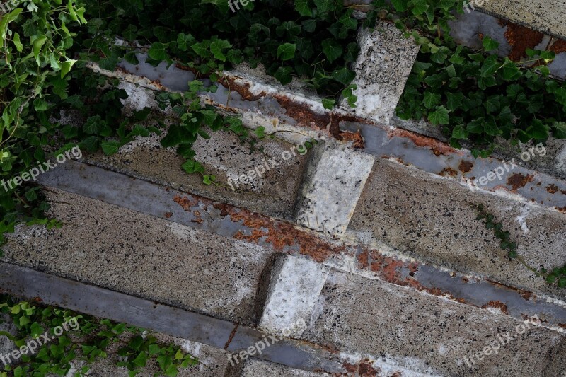 Climbing Ivy Rust Rusted Iron Steel