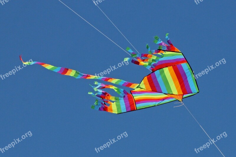 Sky Dragons Flying Kites Background Wind