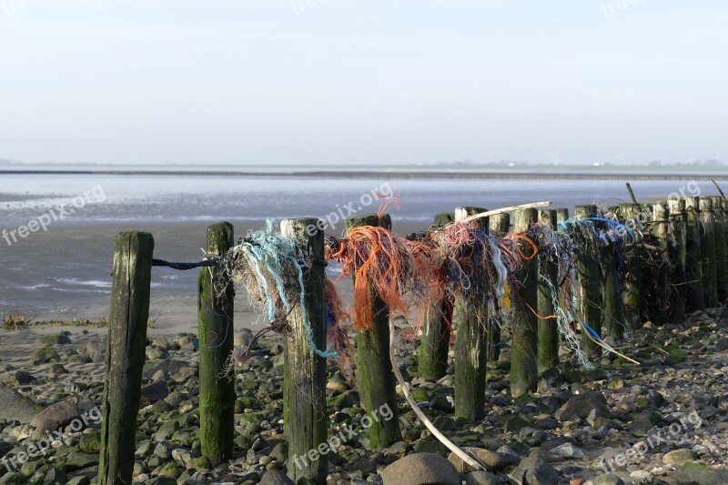 Sea North Sea Wadden Sea Watts Plastic