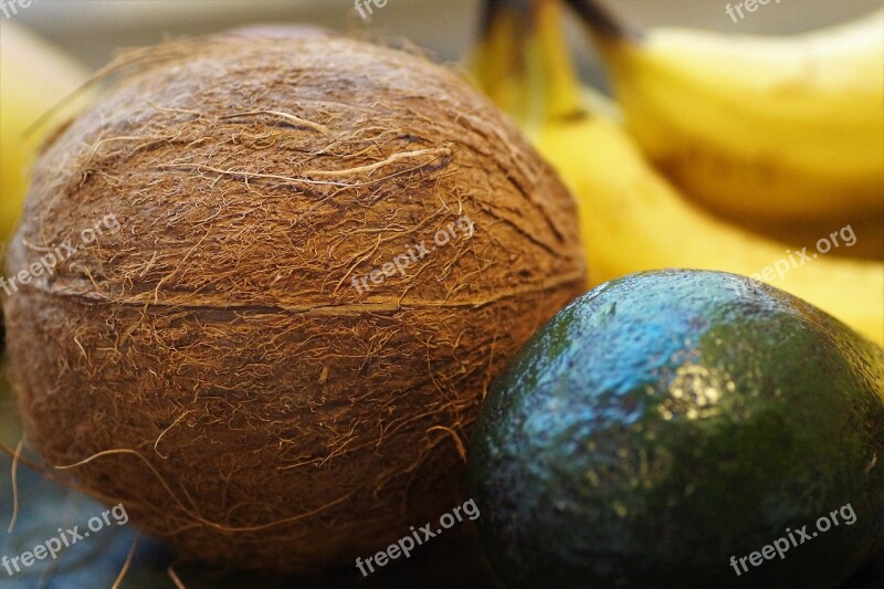 Coconut Walnut Tropical Exotic Fruit