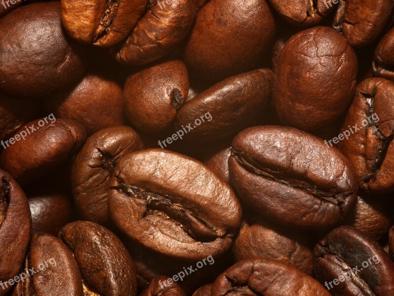 Coffee Beans Roasted Brown Caffeine Cafe