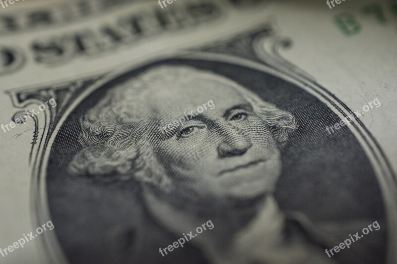 Dollar Macro Eyes George Washington Nikon D7100