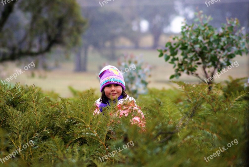 Girl Cute Ferns Misty Morning Free Photos