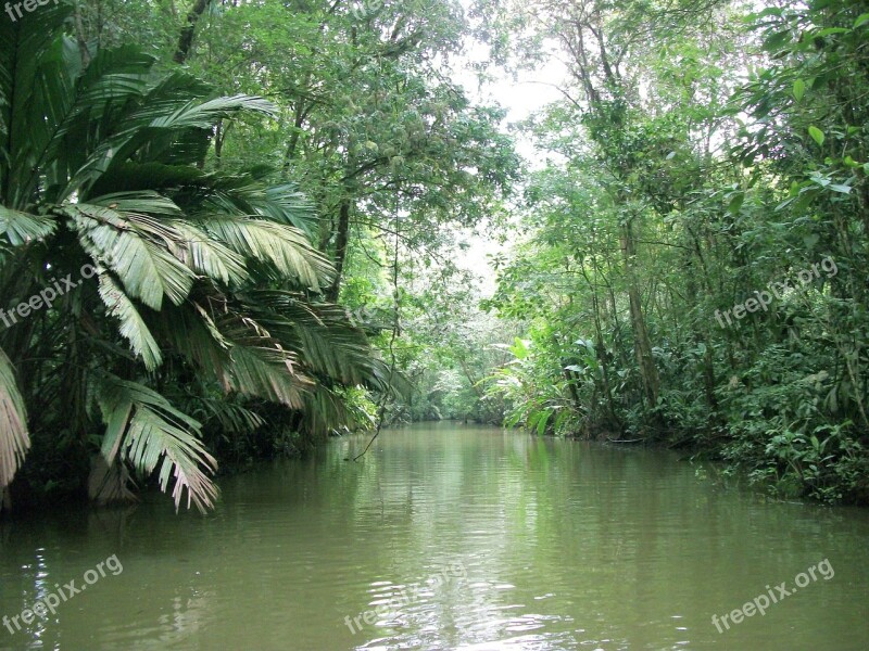 Stream River Nature Outdoor Summer