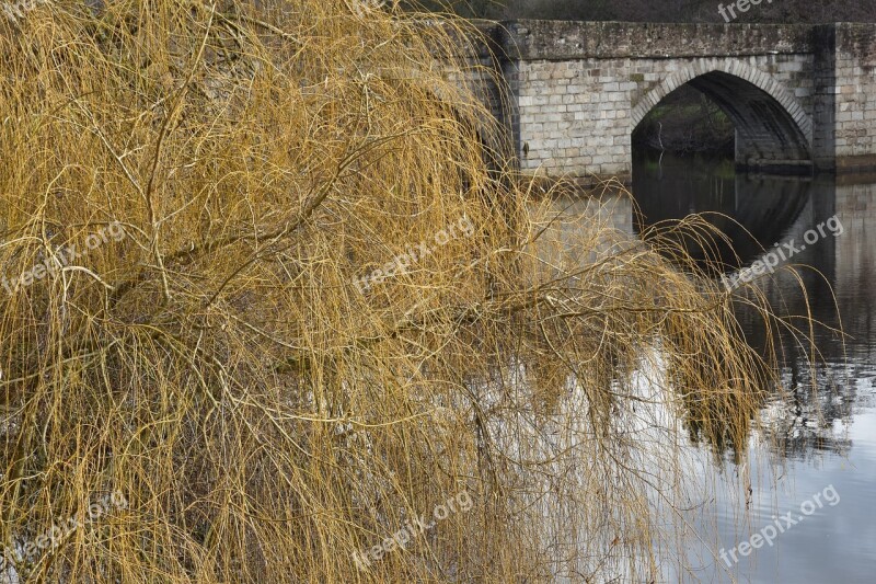 Landscape Reflection Tree Willow Bridge