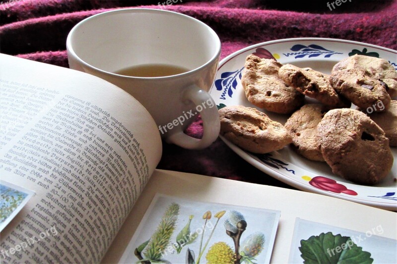 Read Botany Pictures Have Breakfast Cookies