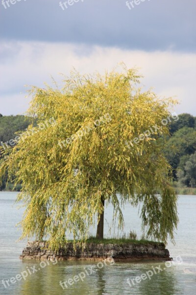 Chiemsee Ladies Island Lake Tree Bavaria