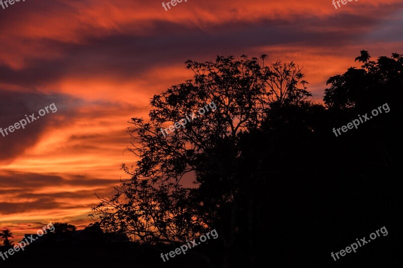 Dusk Lonely Neighborhood Brushes Rural