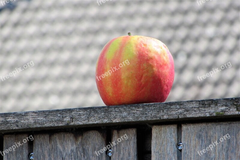 Apple Fruit Healthy Around Fence