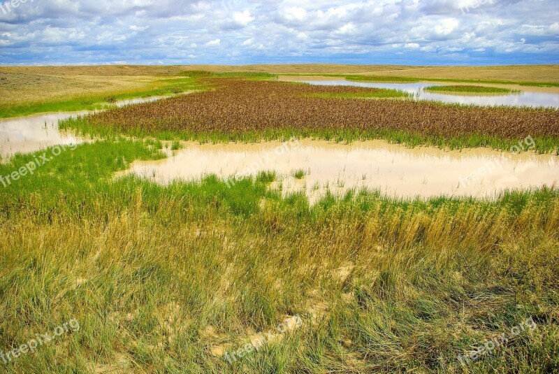 Buffalo Gap Grassland Marsh Wetland Sky Nature