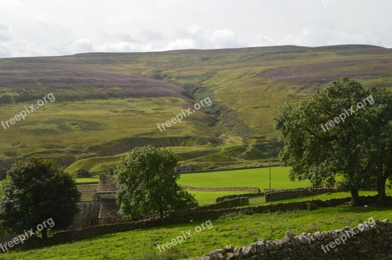 Dry-stone Wall Heather Purple Gulley Seam