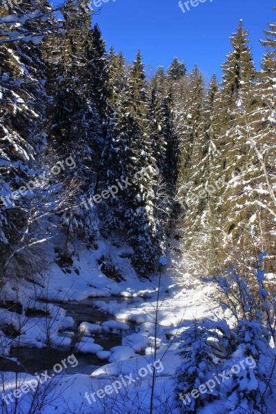 Torrent Mountain Stream Winter Austria Tyrol