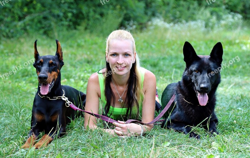 Doberman Black German Shepherd Dogs Blonde Woman Friendship