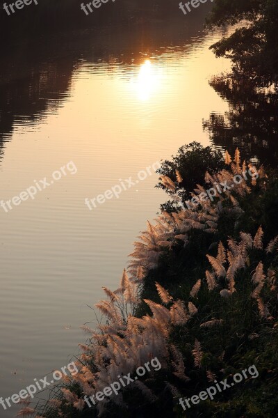 Reflections River Bank Sunbeam Light Soft Light