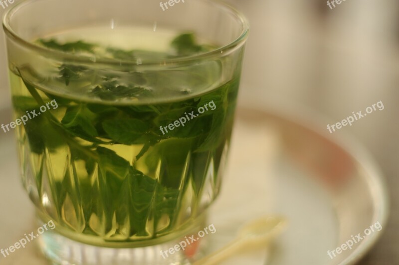 Tea Herbal Tea Drink Healthy Leaves