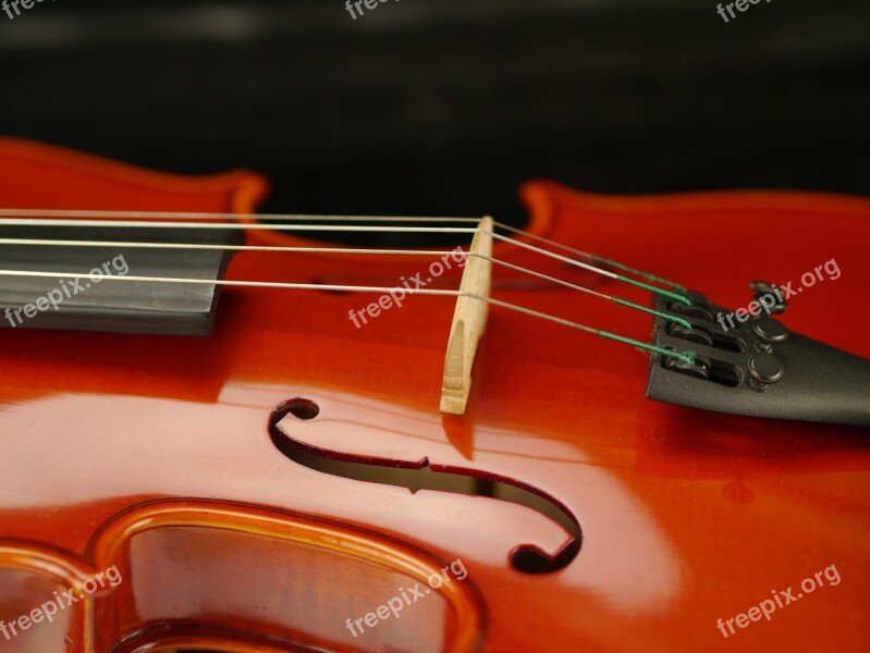 Violin Instrument Classic Musical Instrument Stringed Instrument