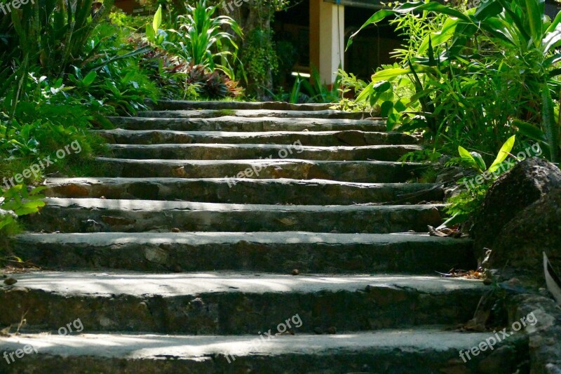 Nature Leaf Garden Stairs Gradually